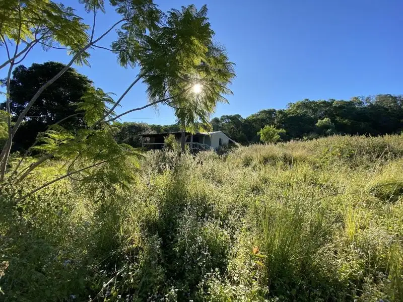 Main view of Homely house listing, 174 Waterloo Road, Waterloo QLD 4673