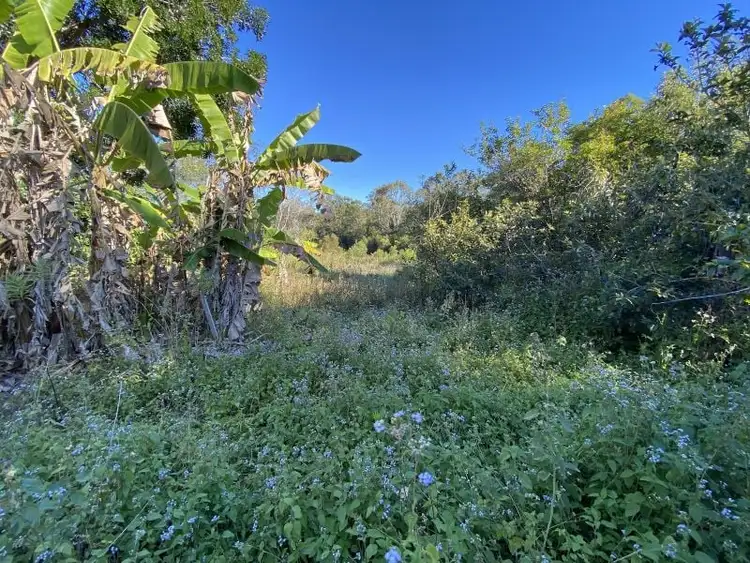 Sixth view of Homely house listing, 174 Waterloo Road, Waterloo QLD 4673