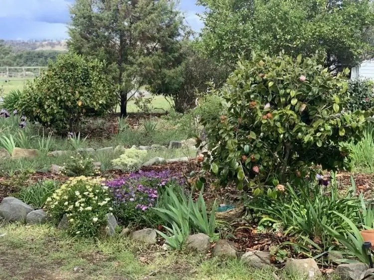 Fifth view of Homely house listing, 7 Meredith Street, Triabunna TAS 7190