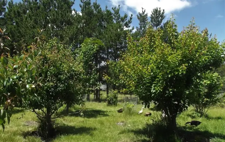 122 Blakes Boulevard, Bungonia NSW 2580