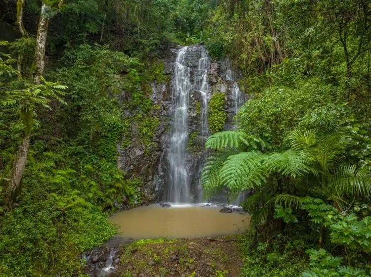 Main view of Homely rural property listing, 14 Weismantel Road, Nimbin NSW 2480