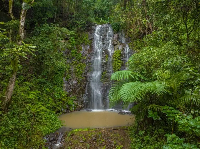 Main view of Homely rural property listing, 14 Weismantel Road, Nimbin NSW 2480