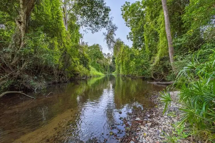 Seventh view of Homely rural property listing, Lot 6 Eel Creek Road, Langshaw QLD 4570