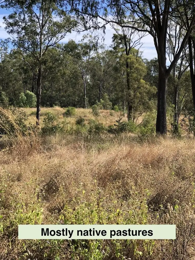 Fourth view of Homely rural property listing, L72 Bruce Highway, Monduran QLD 4671
