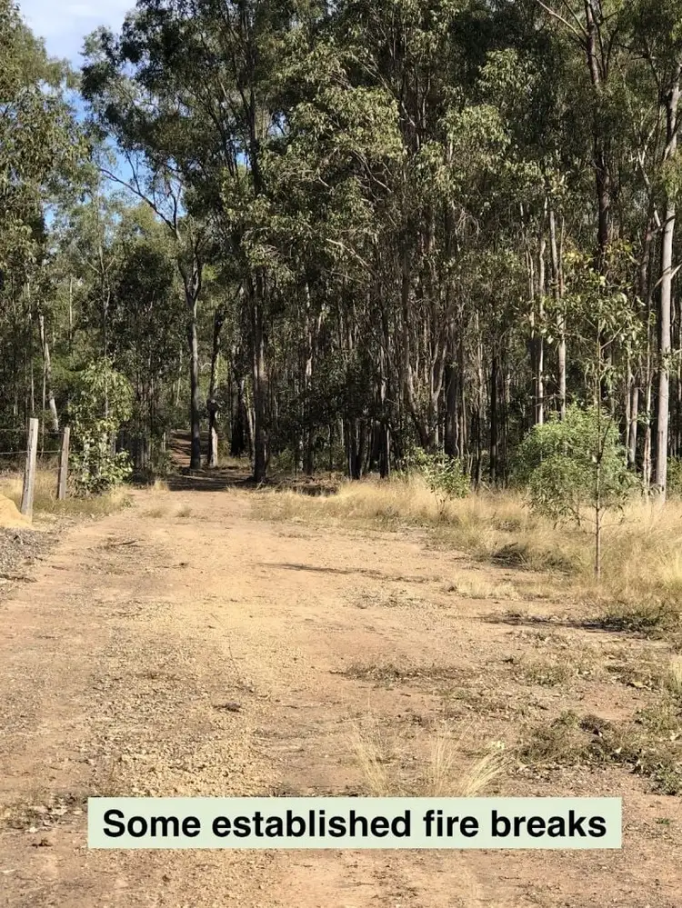 Sixth view of Homely rural property listing, L72 Bruce Highway, Monduran QLD 4671