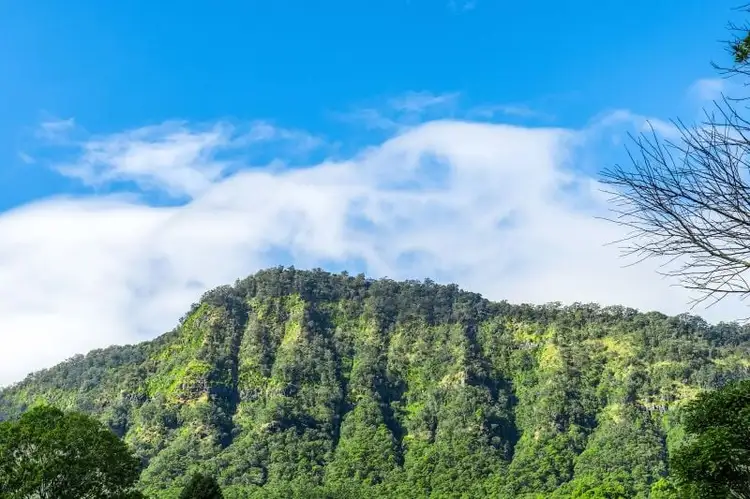 Second view of Homely rural property listing, 434 Mount Burrell Road, Mount Burrell NSW 2484