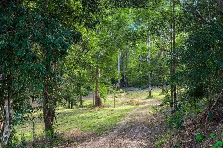 Third view of Homely rural property listing, 434 Mount Burrell Road, Mount Burrell NSW 2484