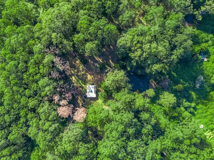 Fifth view of Homely rural property listing, 434 Mount Burrell Road, Mount Burrell NSW 2484