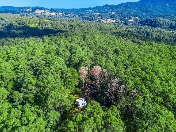 Sixth view of Homely rural property listing, 434 Mount Burrell Road, Mount Burrell NSW 2484