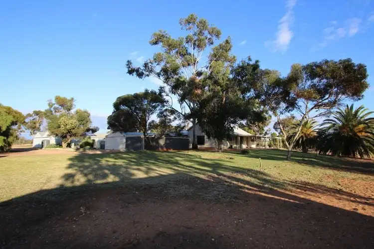 497 Morgan-Cadell Road
