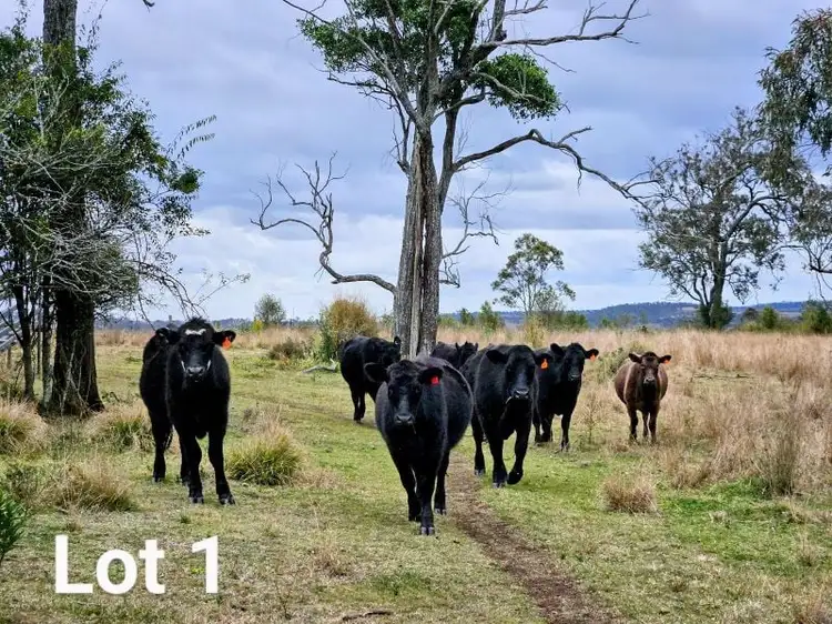 Second view of Homely rural property listing, Lot1 Haden Crows Nest Road, Plainby QLD 4355