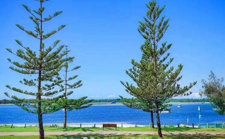 Sixth view of Homely unit listing, 5/442 Marine Parade, Biggera Waters QLD 4216