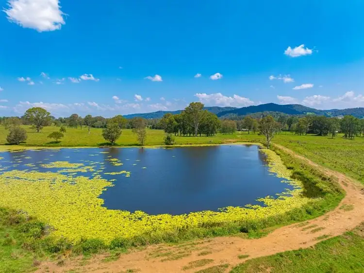 Fifth view of Homely rural property listing, 769 Neusavale Road, Neusa Vale QLD 4570