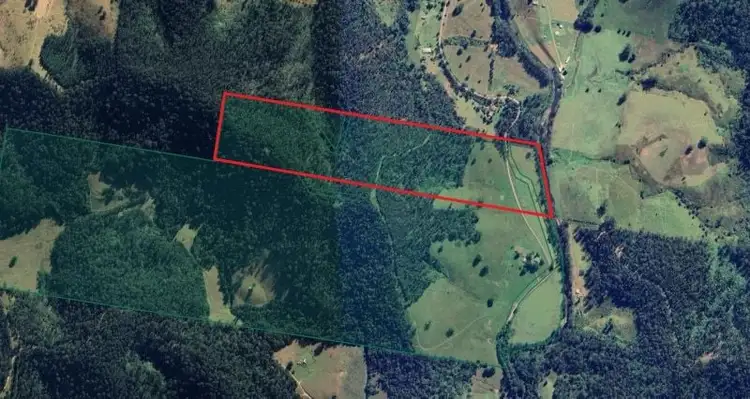 2667 Pappinbarra Road, Pappinbarra NSW 2446
