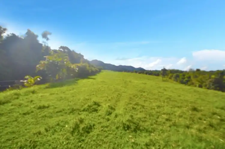 Third view of Homely land listing, 253 Seres Road, Mena Creek QLD 4871