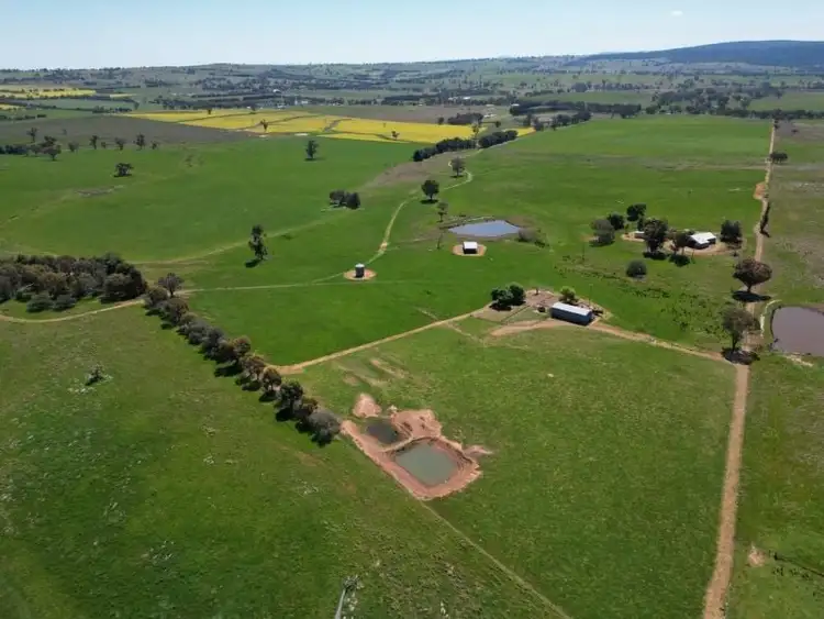 Second view of Homely rural property listing, 443 Wirrimah Road,Bendick Murrell, Wirrimah NSW 2803