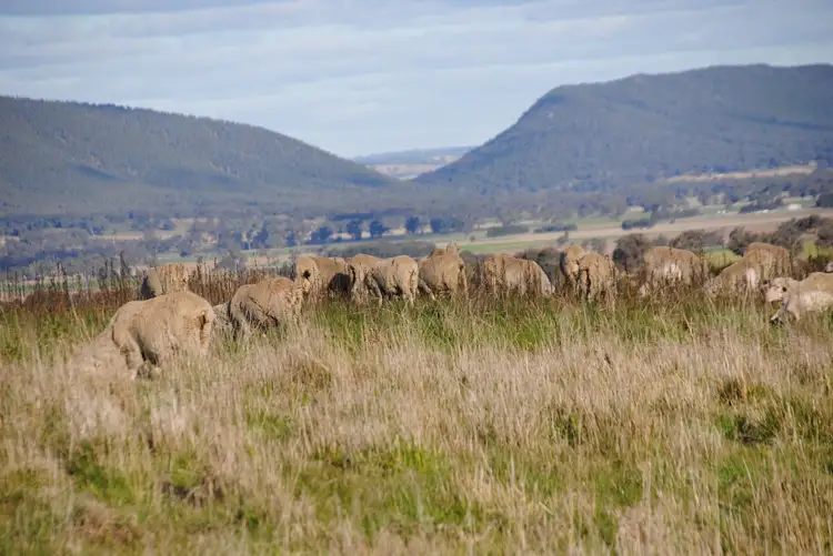Third view of Homely rural property listing, 443 Wirrimah Road,Bendick Murrell, Wirrimah NSW 2803