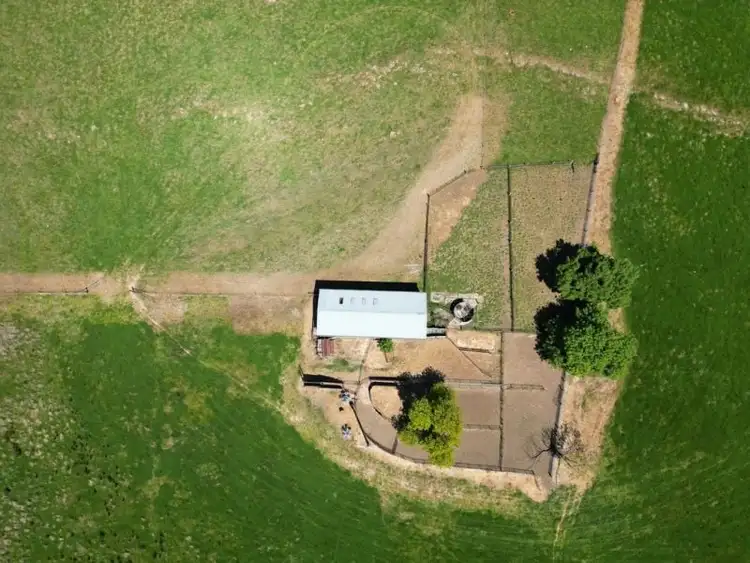 Fourth view of Homely rural property listing, 443 Wirrimah Road,Bendick Murrell, Wirrimah NSW 2803