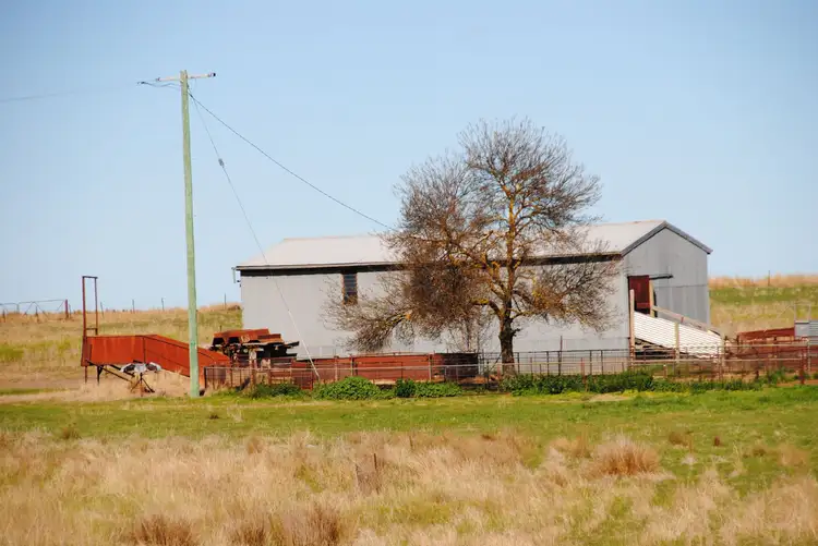 Seventh view of Homely rural property listing, 443 Wirrimah Road,Bendick Murrell, Wirrimah NSW 2803