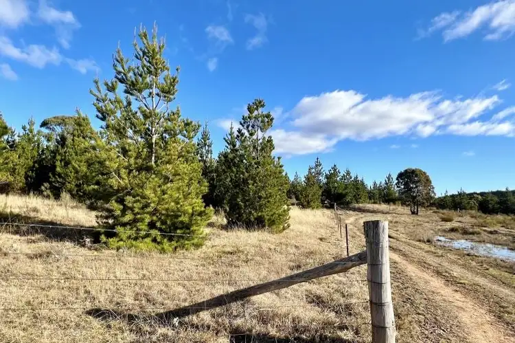 Fifth view of Homely rural property listing, 3814 Oallen Ford Road, Windellama NSW 2580