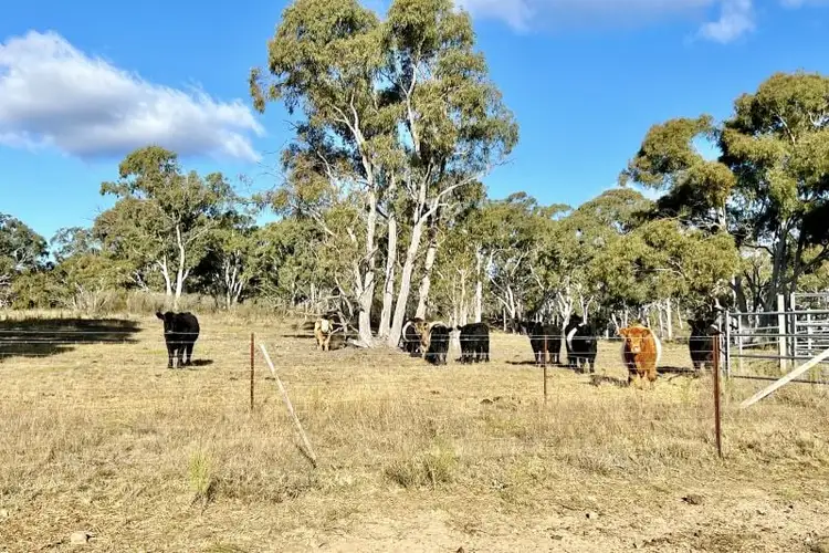 Seventh view of Homely rural property listing, 3814 Oallen Ford Road, Windellama NSW 2580