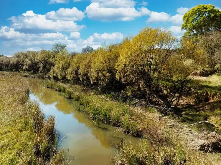 557 The Lookdown Road, Bungonia NSW 2580