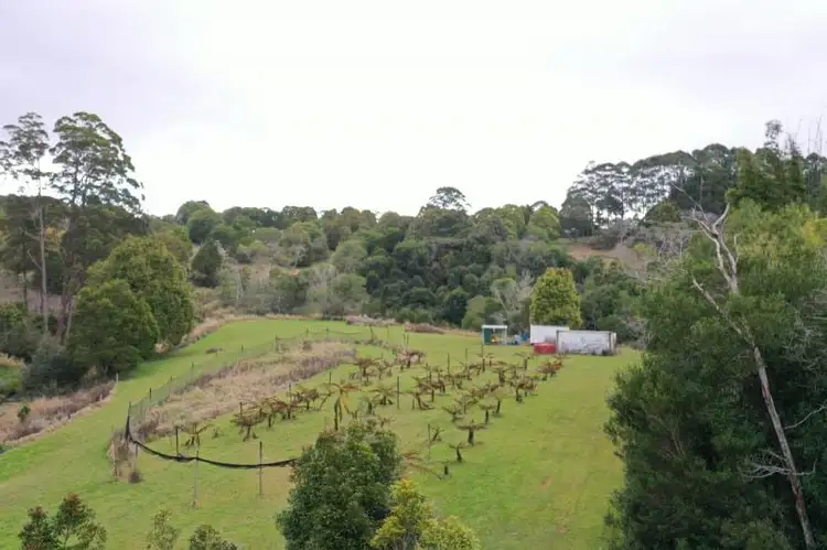 Second view of Homely rural property listing, 26 Fern Tree Pocket Road, Ravenshoe QLD 4888