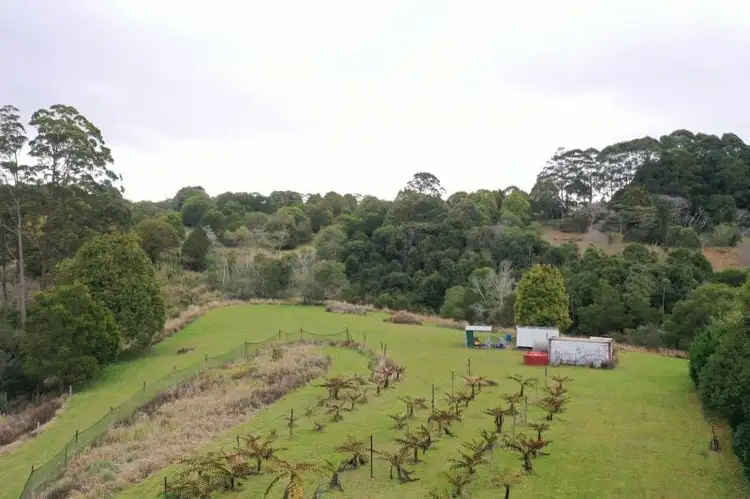 Fifth view of Homely rural property listing, 26 Fern Tree Pocket Road, Ravenshoe QLD 4888