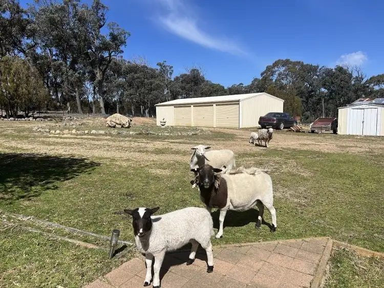 Second view of Homely rural property listing, 285 Gumnut Crescent, Bungonia NSW 2580