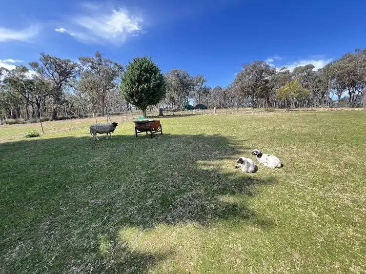 Fifth view of Homely rural property listing, 285 Gumnut Crescent, Bungonia NSW 2580
