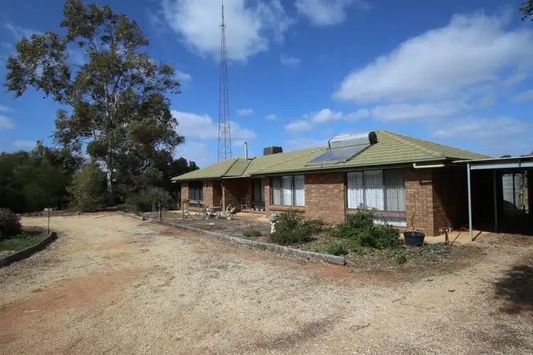 61 Hartwig Road