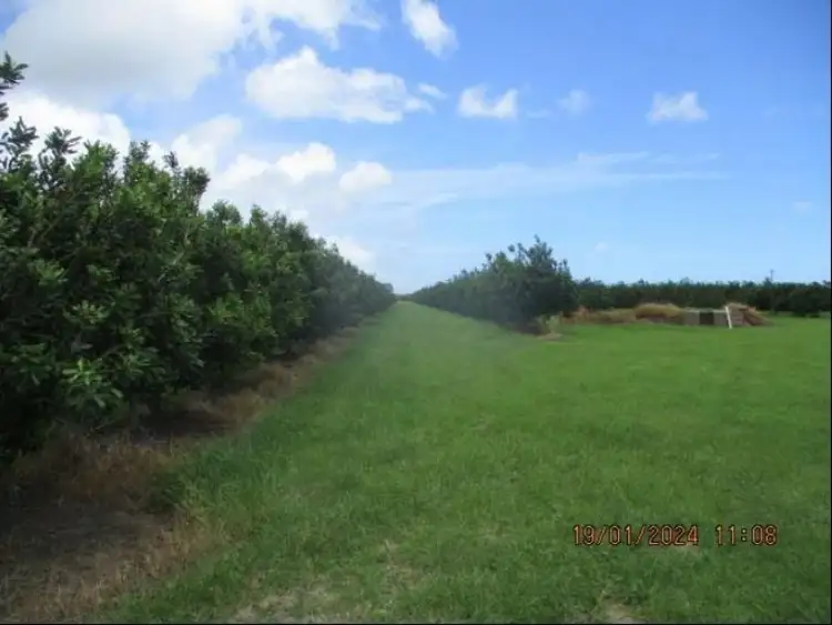 Fifth view of Homely rural property listing, Lot 6 Eardleys Road, Welcome Creek QLD 4670