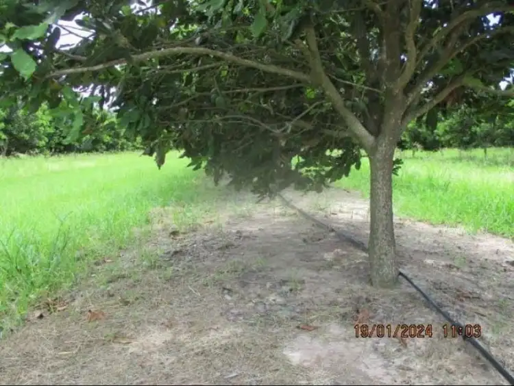 Sixth view of Homely rural property listing, Lot 6 Eardleys Road, Welcome Creek QLD 4670