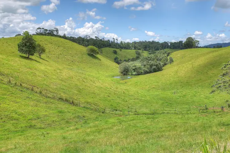 Third view of Homely rural property listing, 1288 Beatrice Way, Millaa Millaa QLD 4886