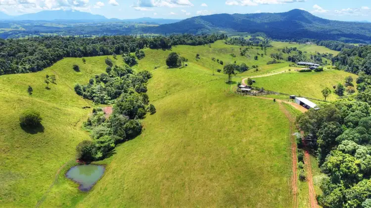 Fourth view of Homely rural property listing, 1288 Beatrice Way, Millaa Millaa QLD 4886