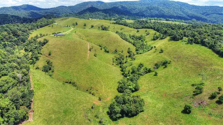 Fifth view of Homely rural property listing, 1288 Beatrice Way, Millaa Millaa QLD 4886