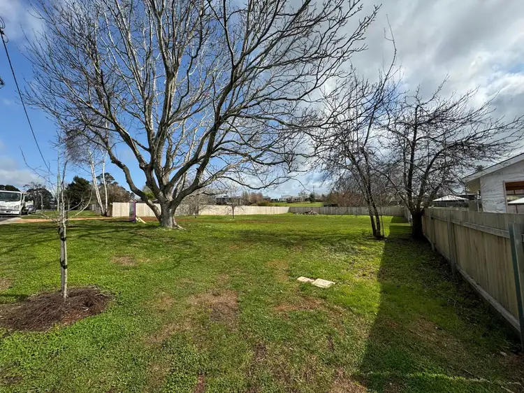 5 Rickman Street, Deloraine TAS 7304