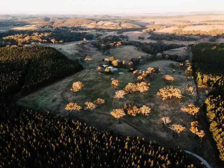 Main view of Homely rural property listing, 922 Swallows Nest Road, Dog Rocks NSW 2795