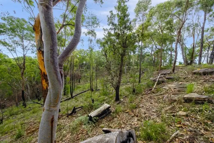Fifth view of Homely land listing, 62 Spur Place, Glenorie NSW 2157