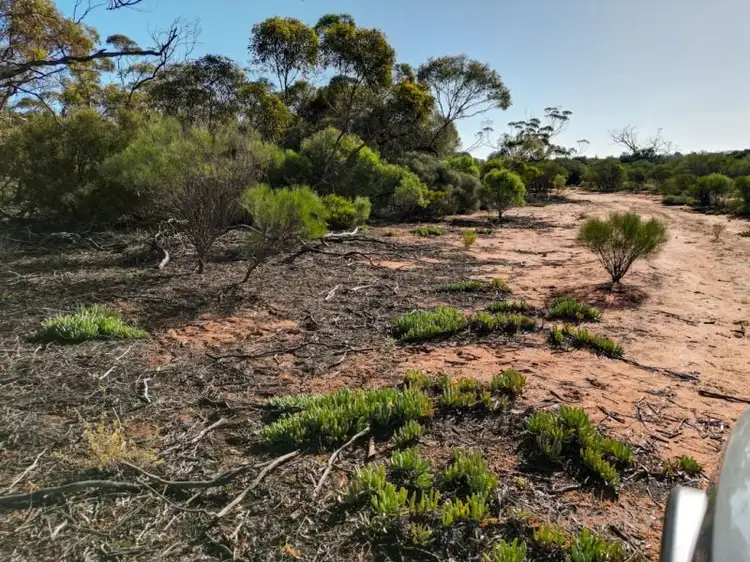 147 Vasey Road, Waikerie SA 5330