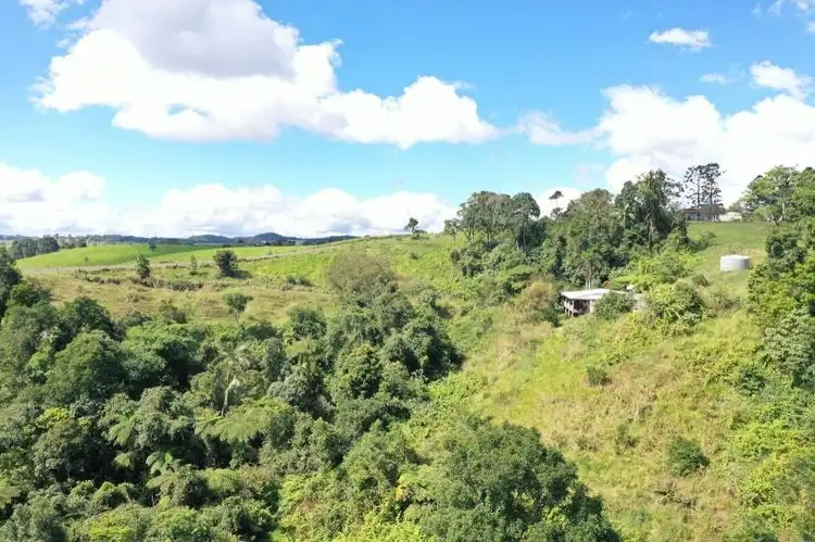 Fifth view of Homely rural property listing, 581 Theresa Creek Road, Millaa Millaa QLD 4886
