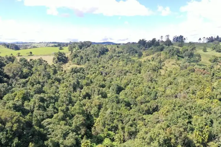 Sixth view of Homely rural property listing, 581 Theresa Creek Road, Millaa Millaa QLD 4886