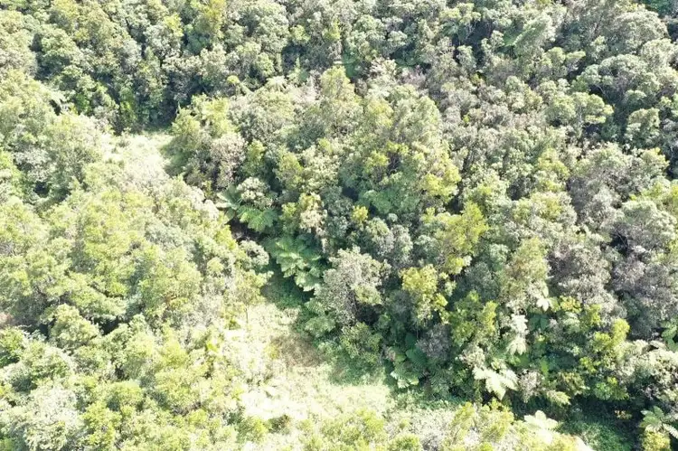 Seventh view of Homely rural property listing, 581 Theresa Creek Road, Millaa Millaa QLD 4886