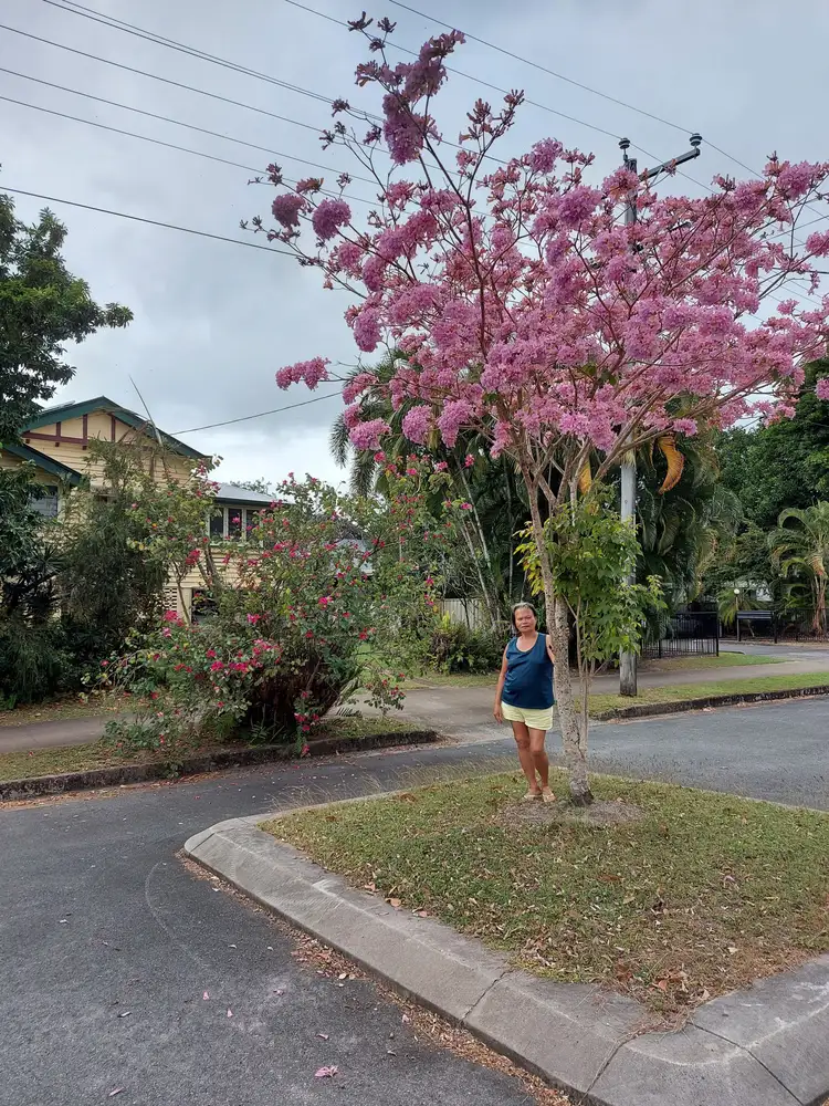 Main view of Homely house listing, 328-330 McLeod Street, Cairns North QLD 4870