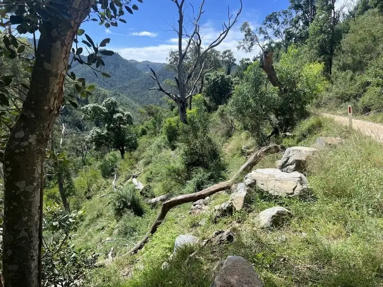 Sixth view of Homely rural property listing, 5384 Wombeyan Caves Road, Wombeyan Caves NSW 2580