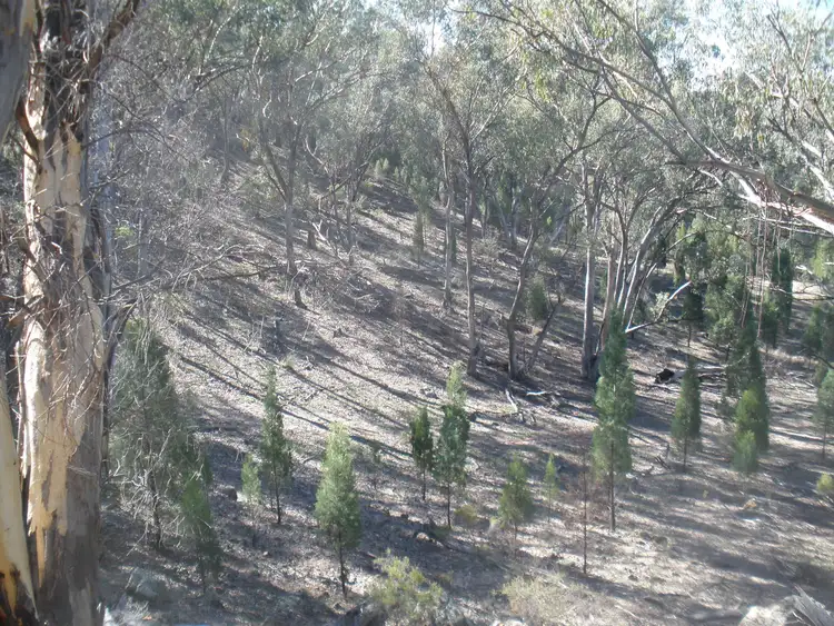 Sixth view of Homely rural property listing, 5442 Warrumbungles Way, Binnaway NSW 2395