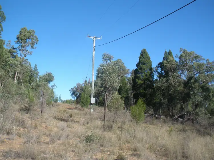 Seventh view of Homely rural property listing, 5442 Warrumbungles Way, Binnaway NSW 2395