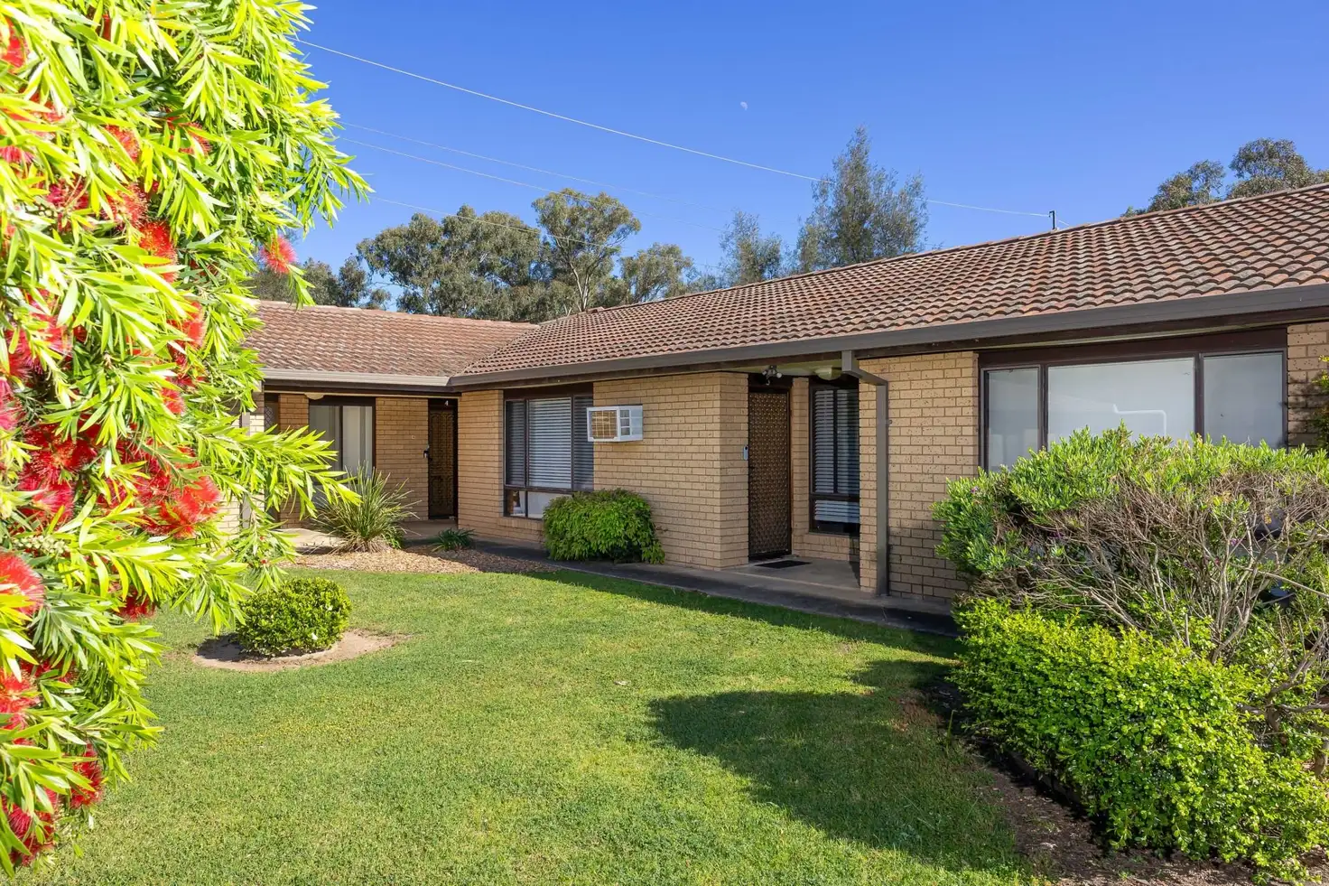 Main view of Homely house listing, 3/33 Wren Street, Mount Austin NSW 2650