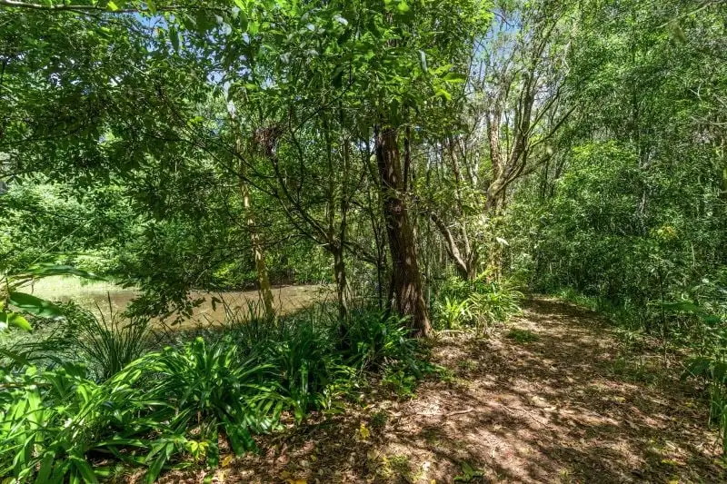 Main view of Homely land listing, 32 Basil Road, Nimbin NSW 2480