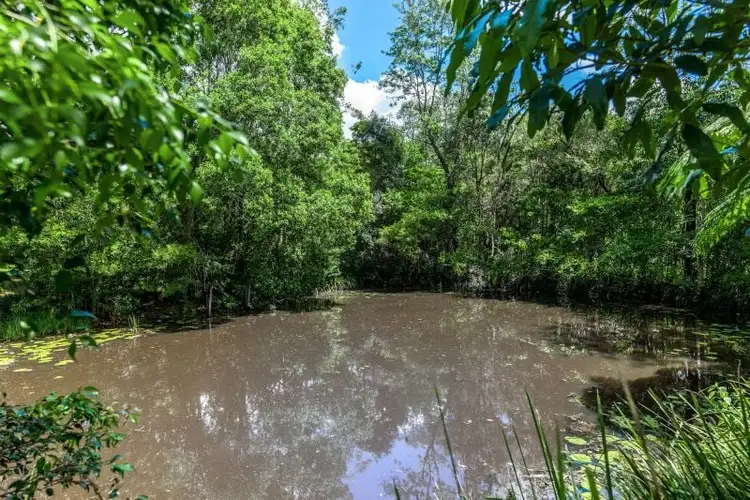 Second view of Homely land listing, 32 Basil Road, Nimbin NSW 2480